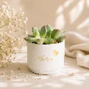 Bloempotje-Wit-met-gouden-belettering.webp