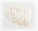 Naamstickers-lize.webp