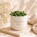 Bloempotje keramiek – Wit (Set van 12)