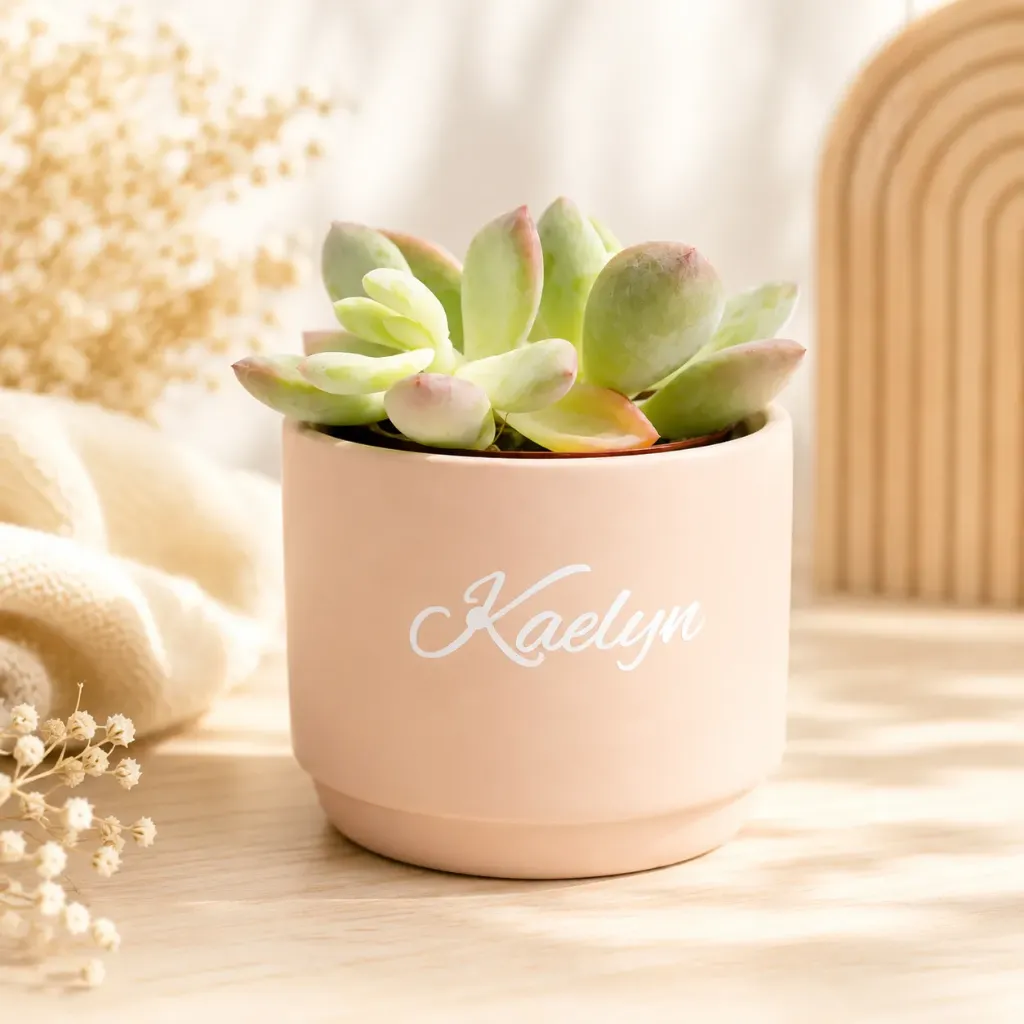 Bloempotje keramiek – Blush (Set van 12)