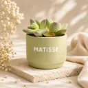 Bloempotje keramiek – Zijdegroen (Set van 12)