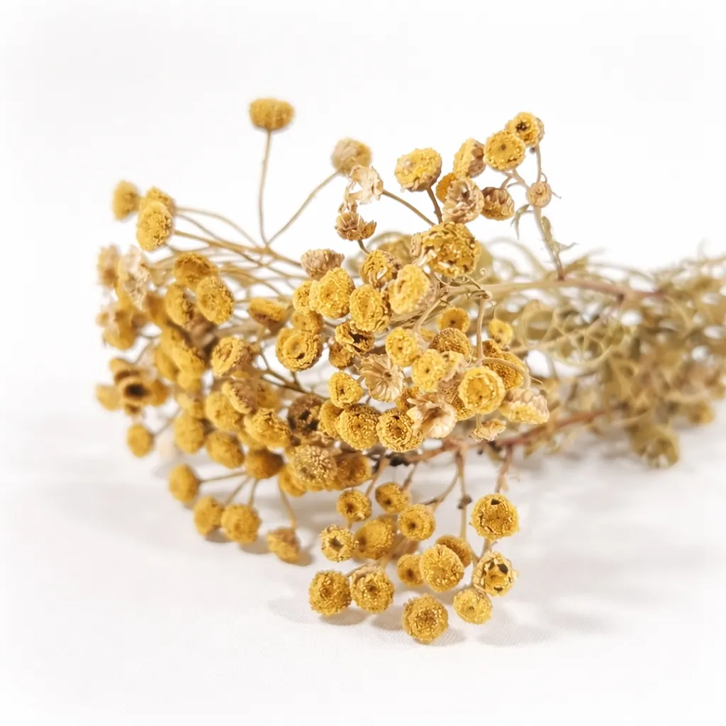 Soft Natural Linum – Set van 12 bundeltjes