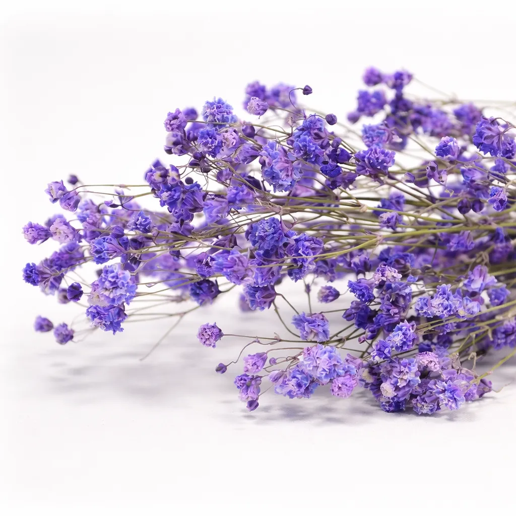 Dried Gyps Purple Extra – Set van 12 bundeltjes